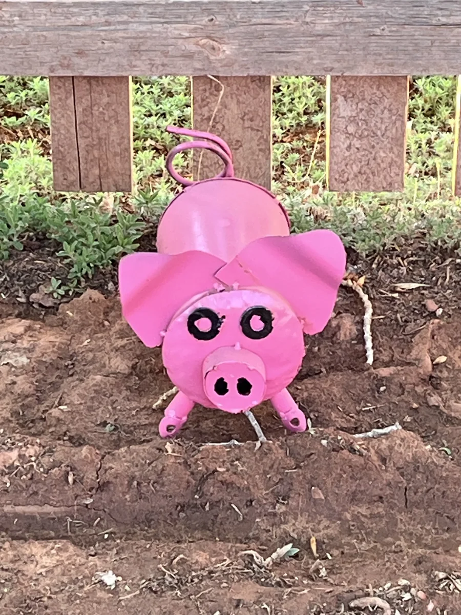 Oink Oink... Our Security Guard, Posted 24/7